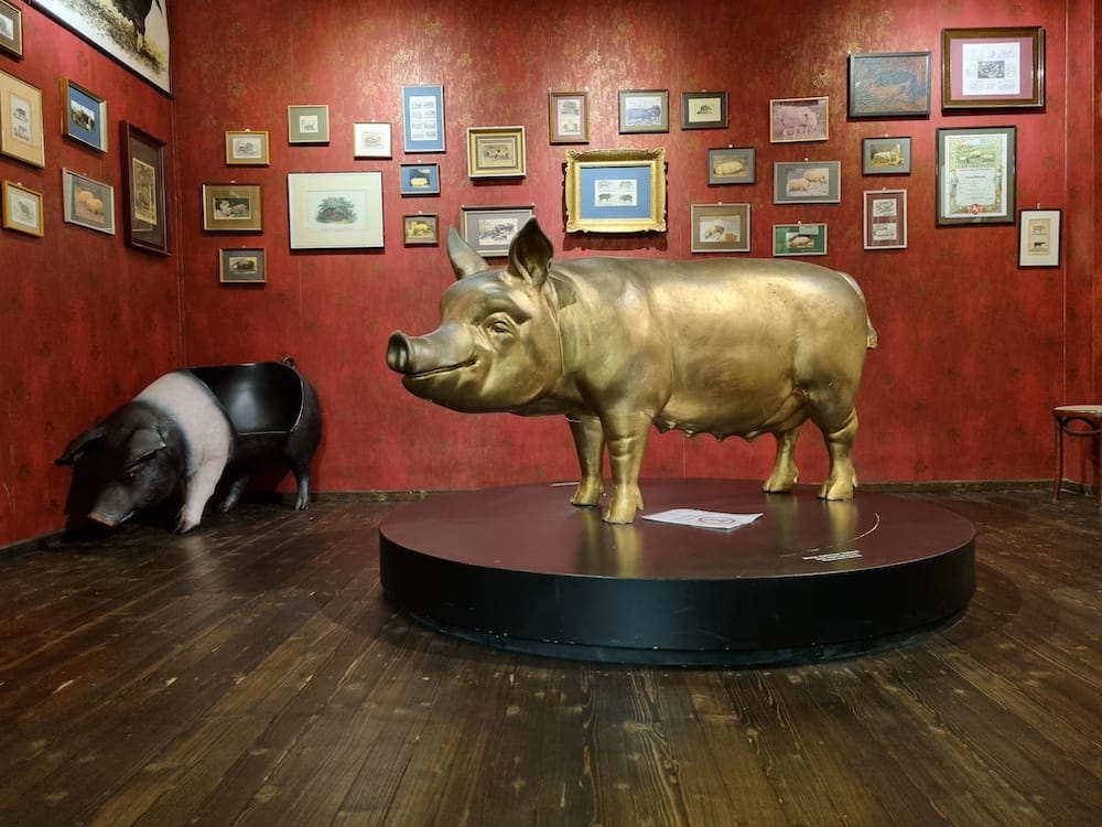 Ausflug in das Stuttgarter Schweinemuseum