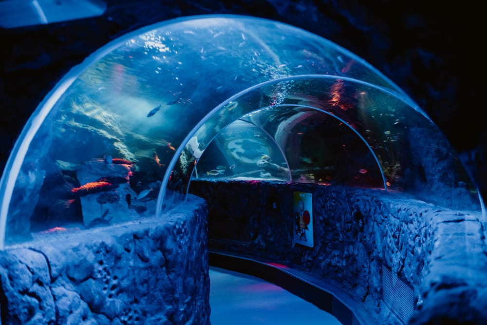 SEA LIFE Blankenberge