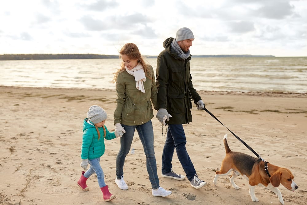 Urlaub an der Ostsee im Winter ein Reiseziel im Januar mit Kindern