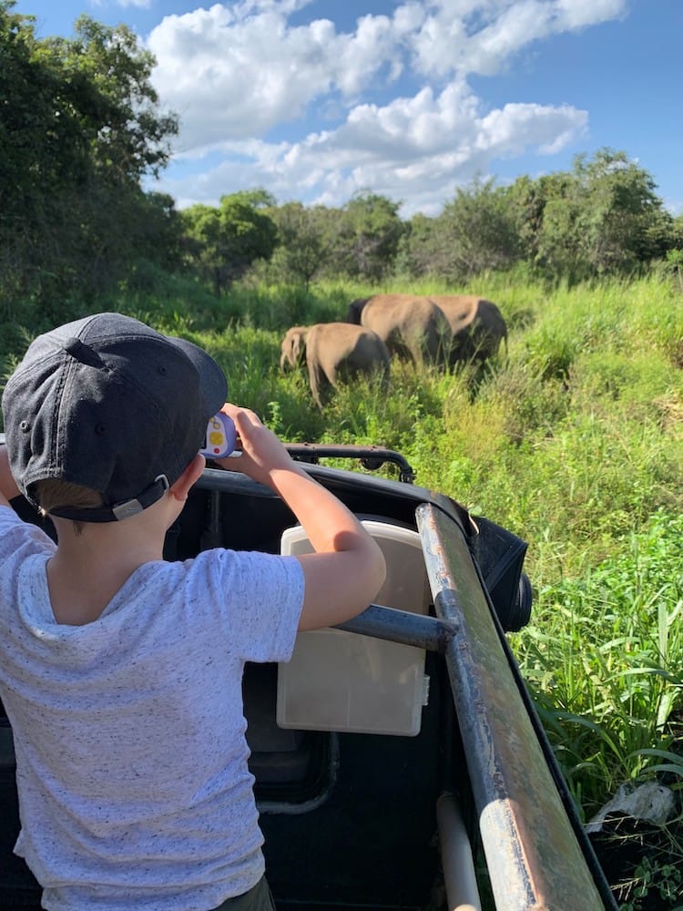 Safari in Sri Lanka als Ganzjahresziel für eine Fernreise mit Kindern