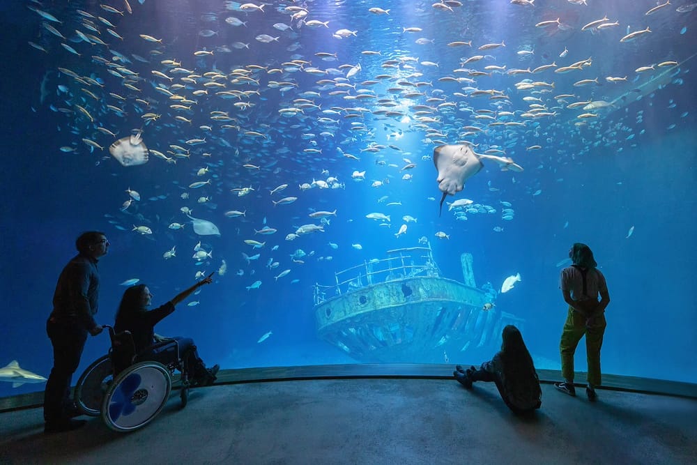 Zu Besuch im OZEANEUM in Stralsund