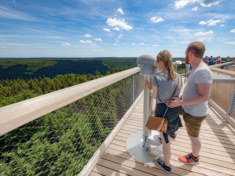 Aussicht vom Baumwipfelpfad Schwarzwald