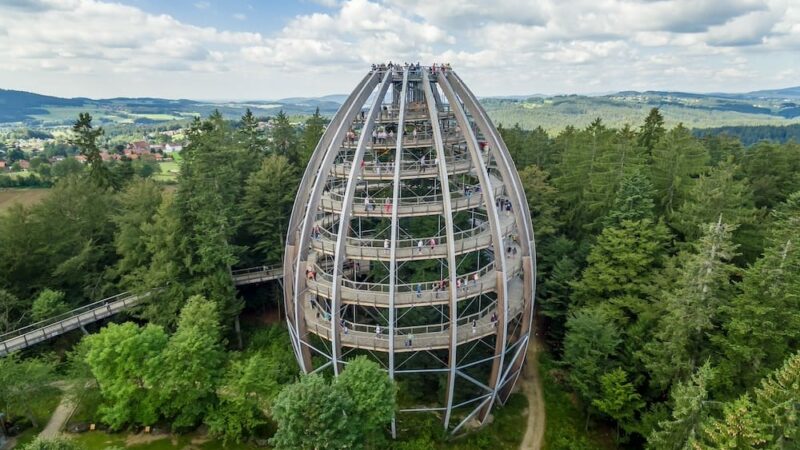 Die schönsten Baumwipfelpfade in Deutschland wie im Bayerischen Wald