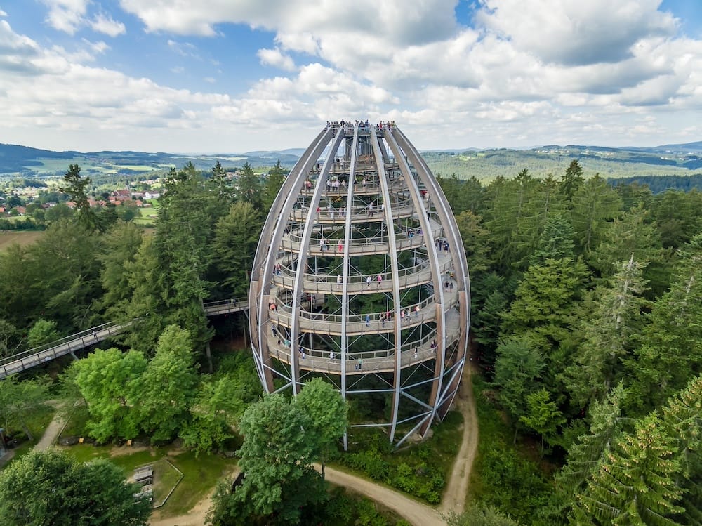 Die schönsten Baumwipfelpfade in Deutschland wie im Bayerischen Wald