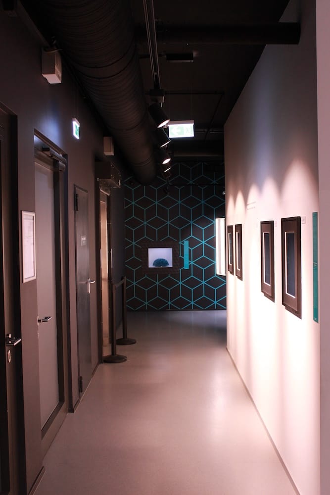 Das Museum der Illusionen ein Stuttgarter Kindermuseum