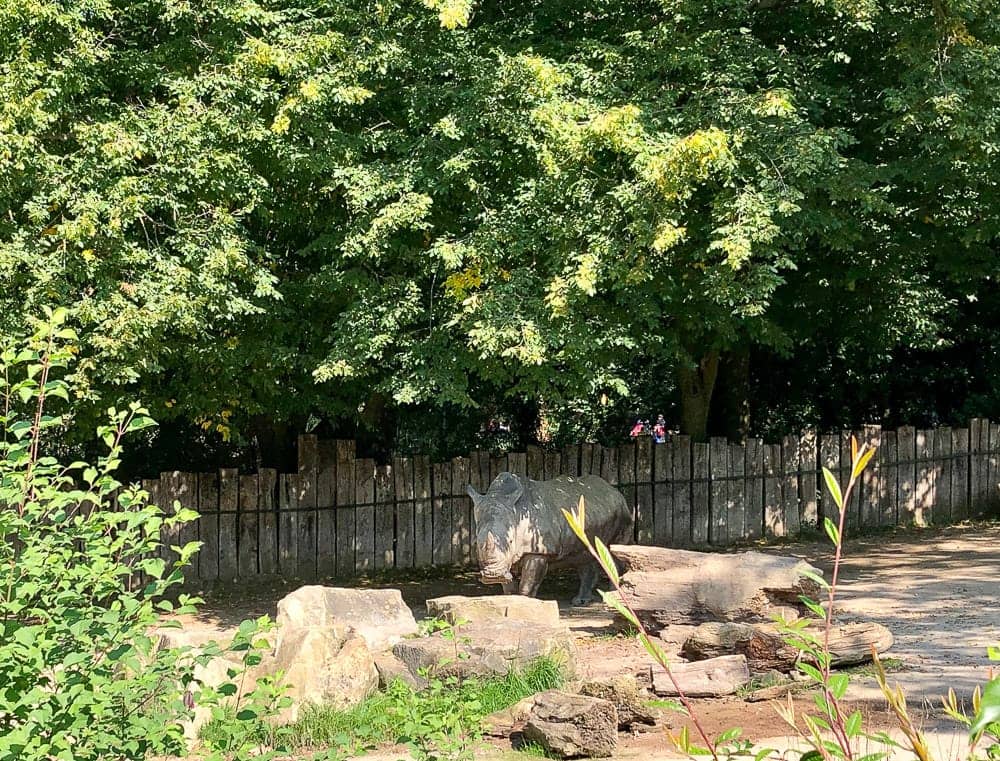 Ausflug in den Zoo Dortmund mit Kindern