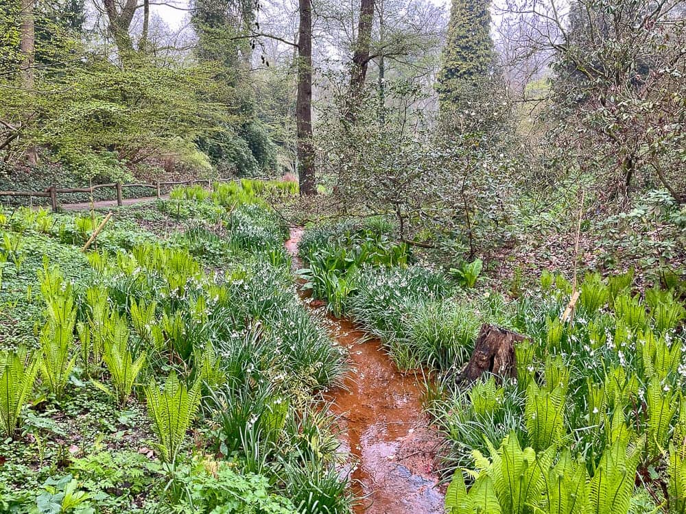 Rombergpark in Dortmund mit Kindern