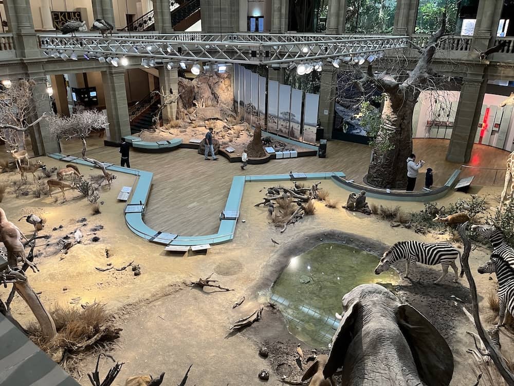 Ausstellung im Museum König in Bonn mit Kind