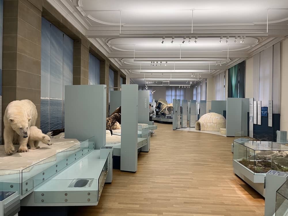 Tiere im Forschungsmuseum Alexander Koenig in Bonn