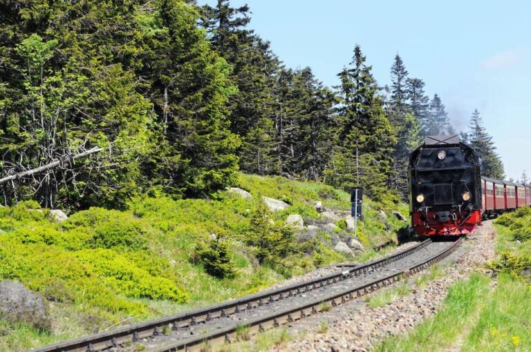 Ausflugsziele im Harz mit Kindern