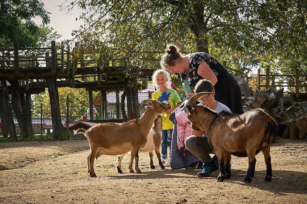 Wildpark Daun in RLP mit Kindern