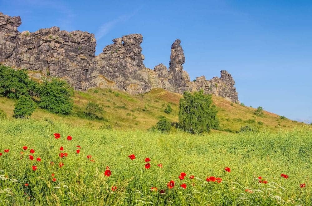 Wanderung zur Teufelsmauer im Harz mit Kindern
