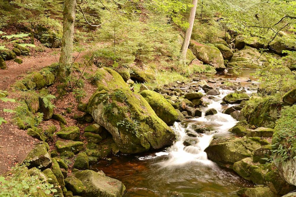 Wandern im Nationalpark Harz mit der Familie