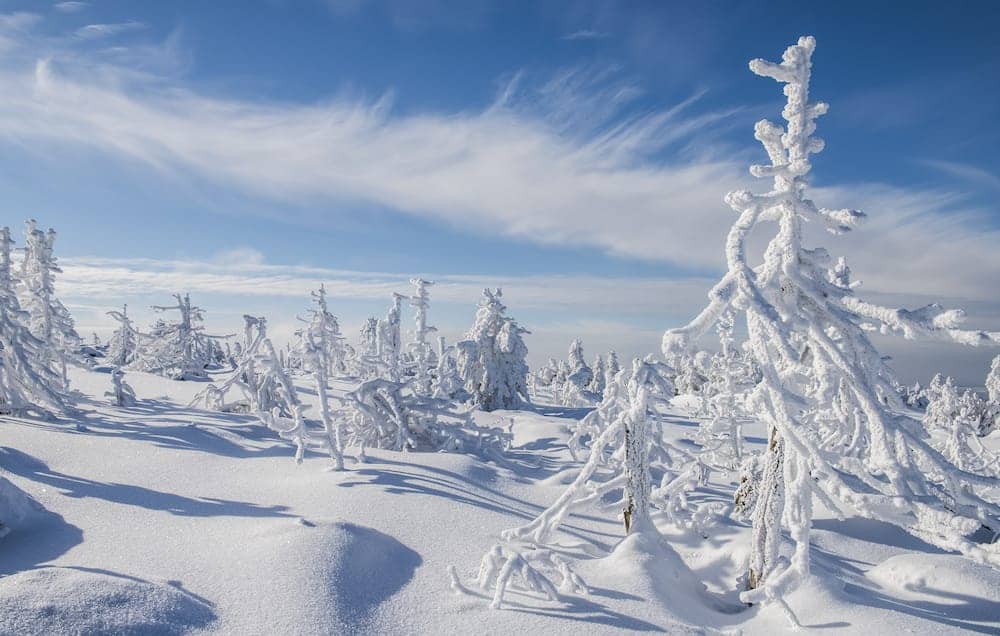 Winterliches Rodeln im Harz mit Kindern