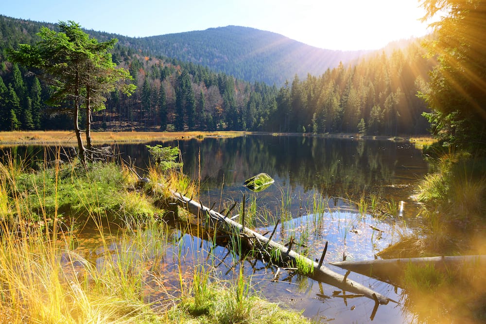 Herbst im Bayerischen Wald als November Reiseziel