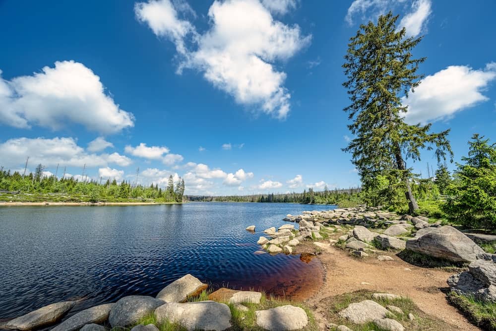 Oderteich im Nationalpark Harz