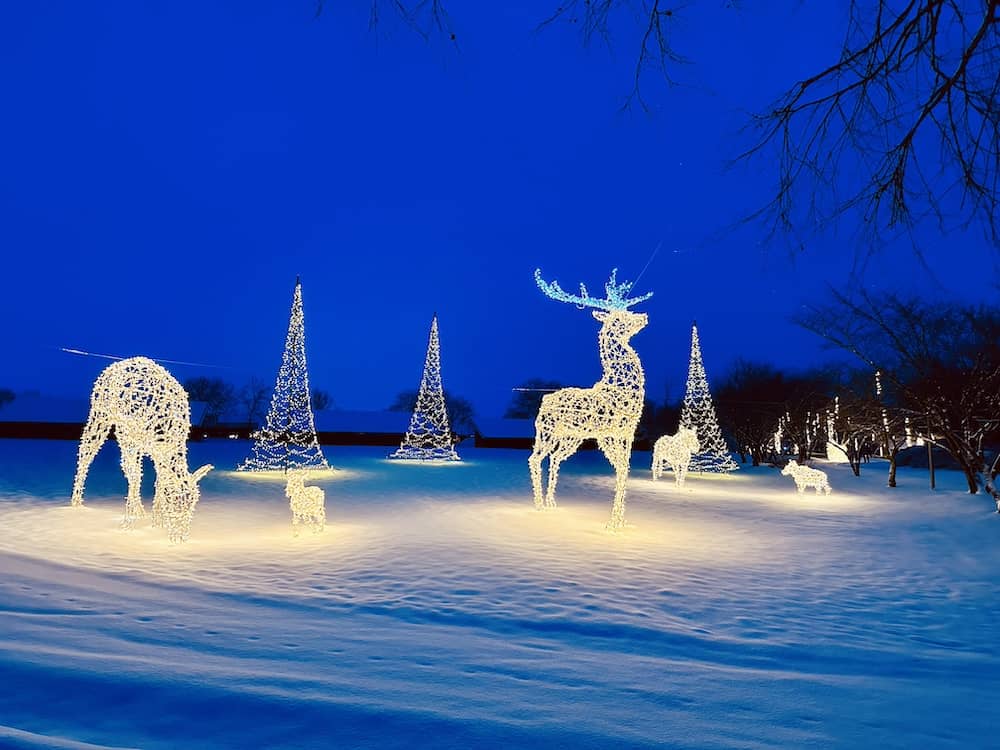 Tolle Lichter im Sonnenlandpark einem Freizeitpark im Winter