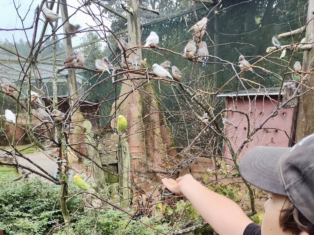 Besuch im Vogelpark Marlow
