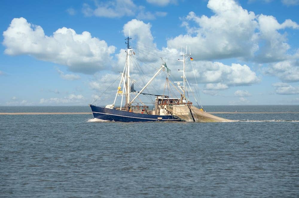 Die schönsten Ausflugsziele an der Nordsee mit Kindern