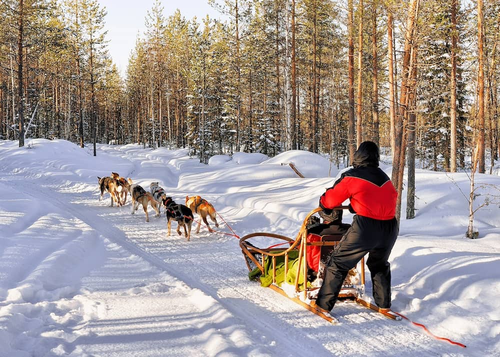 Ausflug mit dem Hundeschlitten eine tolle Aktivität im Winter mit Kindern
