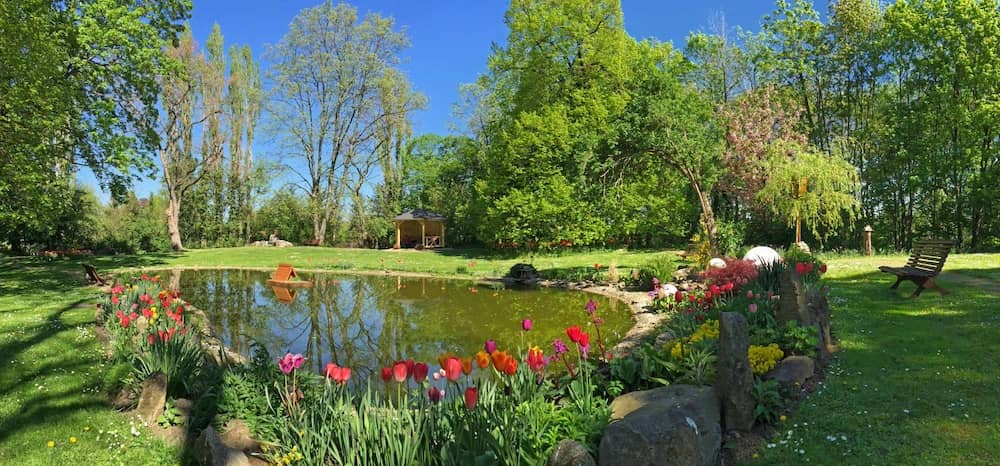 Schöner Park im Ferienpark Harzer Ferienanlage