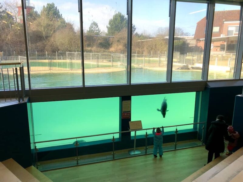 Urlaub Nordsee mit Kindern - Abenteuer für Kinder und Eltern Urlaub Nordsee mit Kindern - Abenteuer für Kinder und Eltern