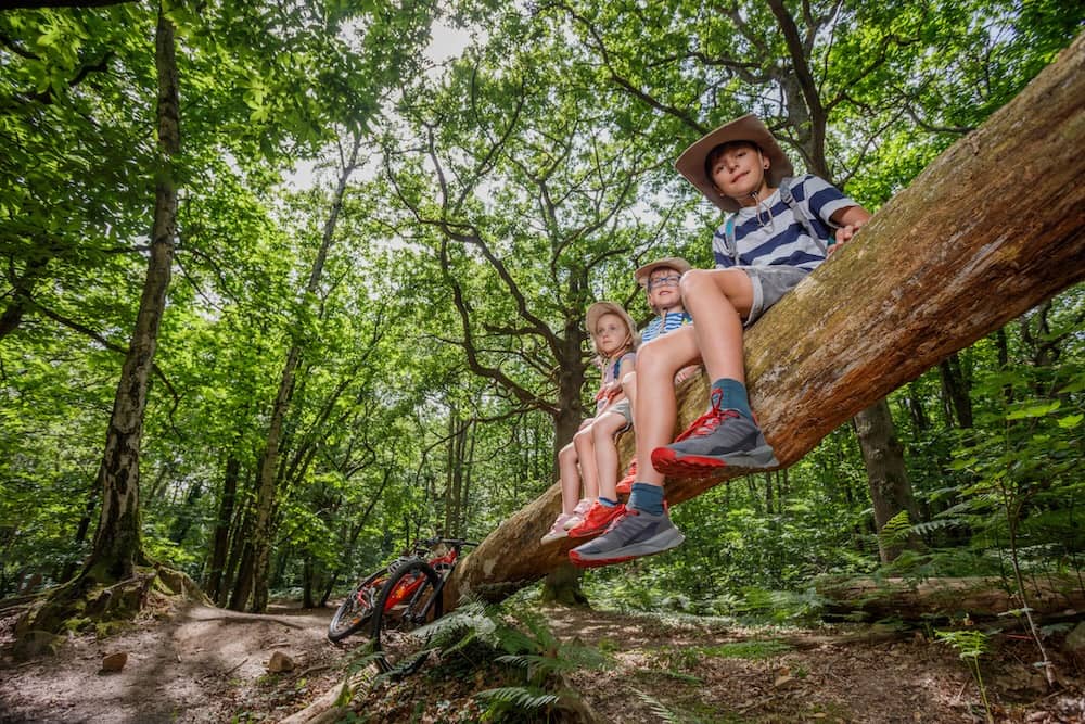 Tolle Naturerlebniss im Ferienpark mit Kindern