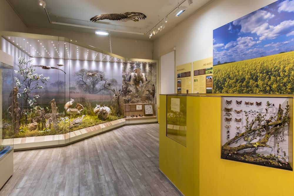 Ausstellung im Naturkundemuseum Potsdam