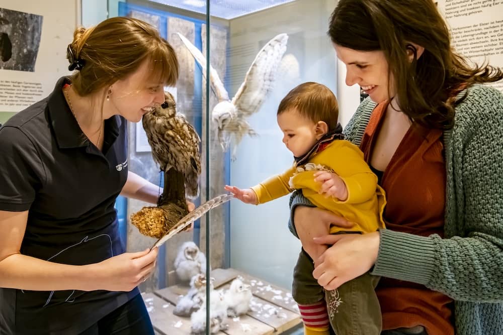 Naturkundemuseum Potsdam für Familien