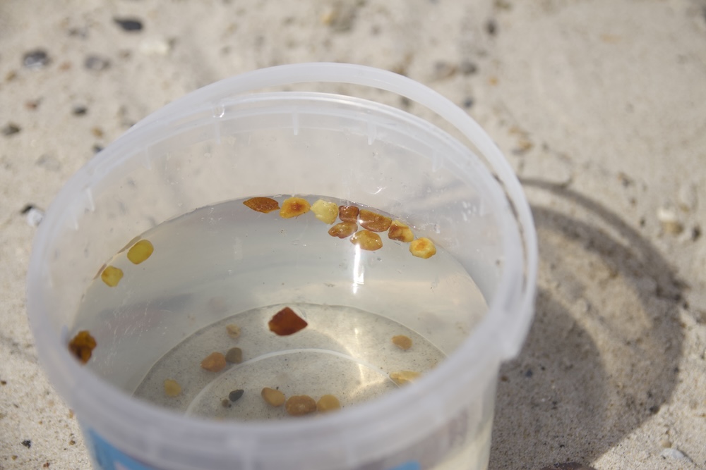 Bernsteinsuche am Strand in Dänemark mit Kindern