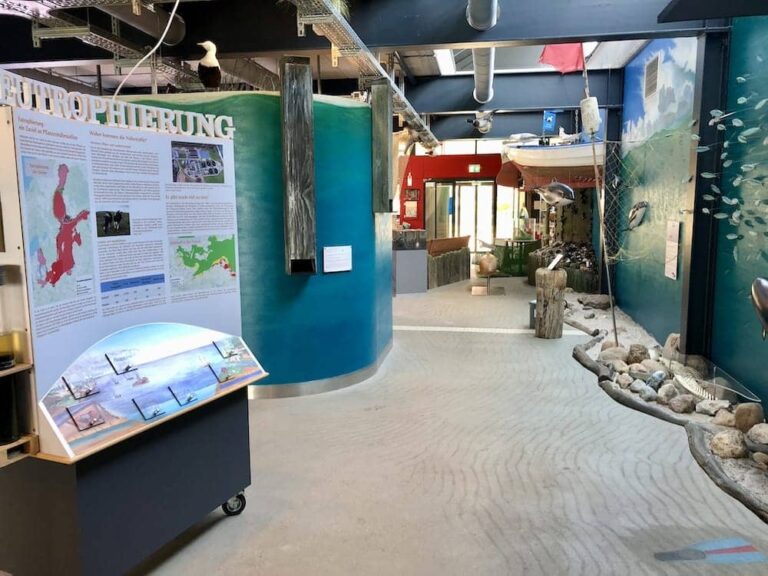 Die besten Kinder-Museen in Schleswig-Holstein für Familien