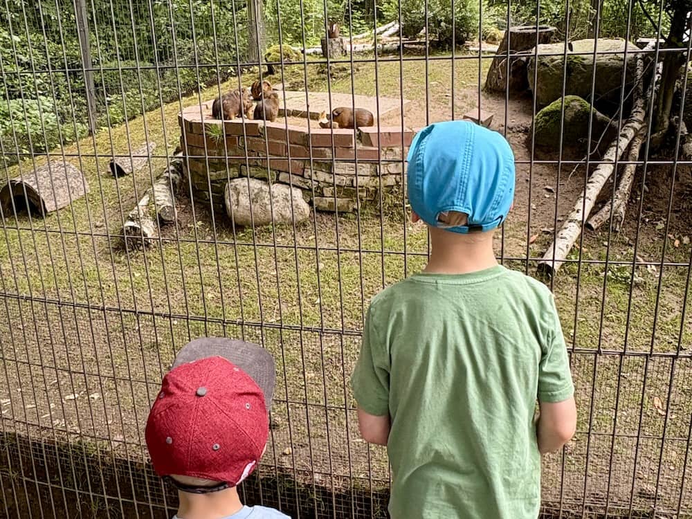 Kinder im Schwarze Berge Wildpark in Deutschland
