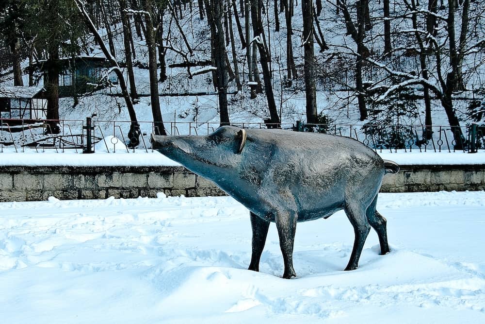 Statue vom Wildschwein im Wildpark Christianental Wernigerode