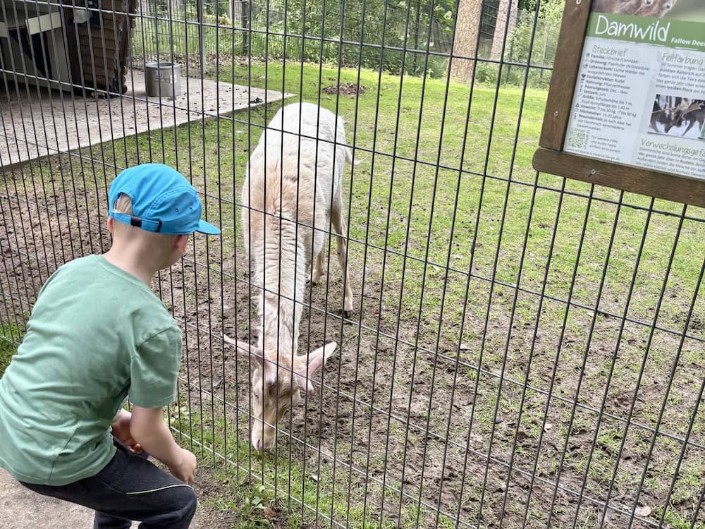 Tiere im Wildpark Schwarze Berge