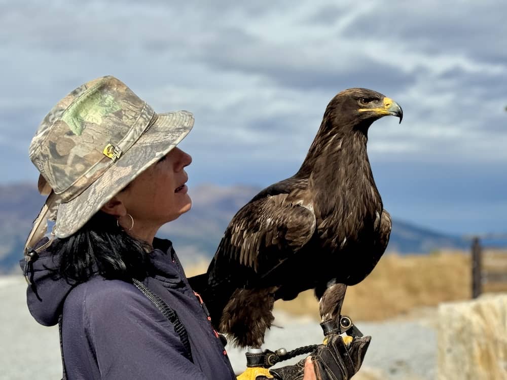 Flugshow an der Falkner-Oase auf dem Ahorn im Zillertal