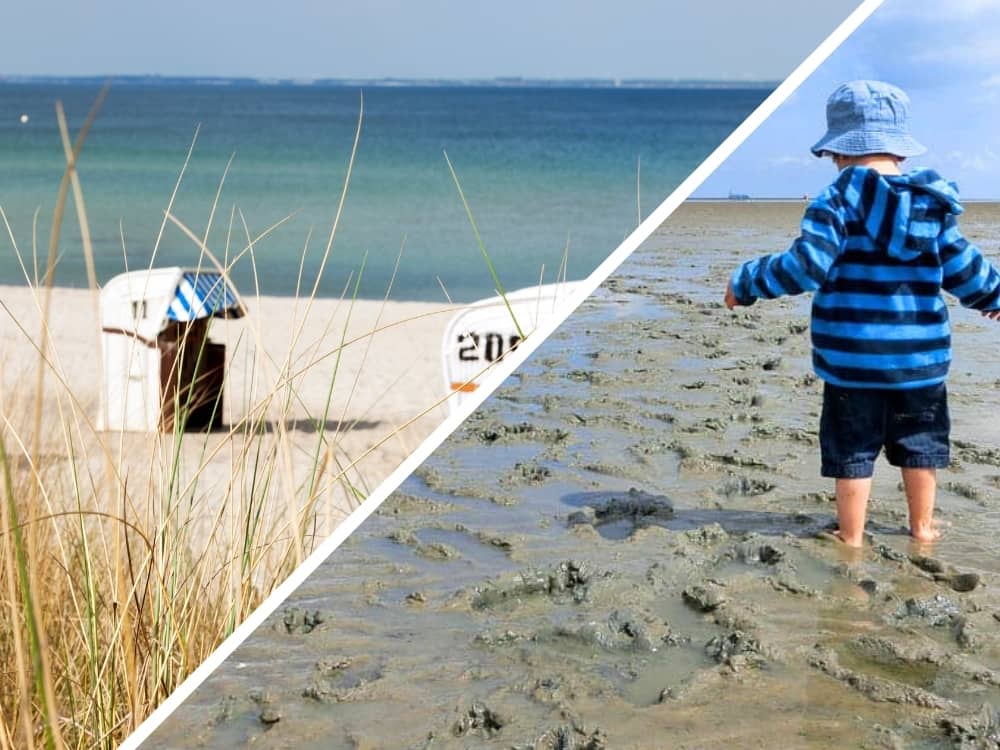 Nordsee oder Ostsee unser Vergleich