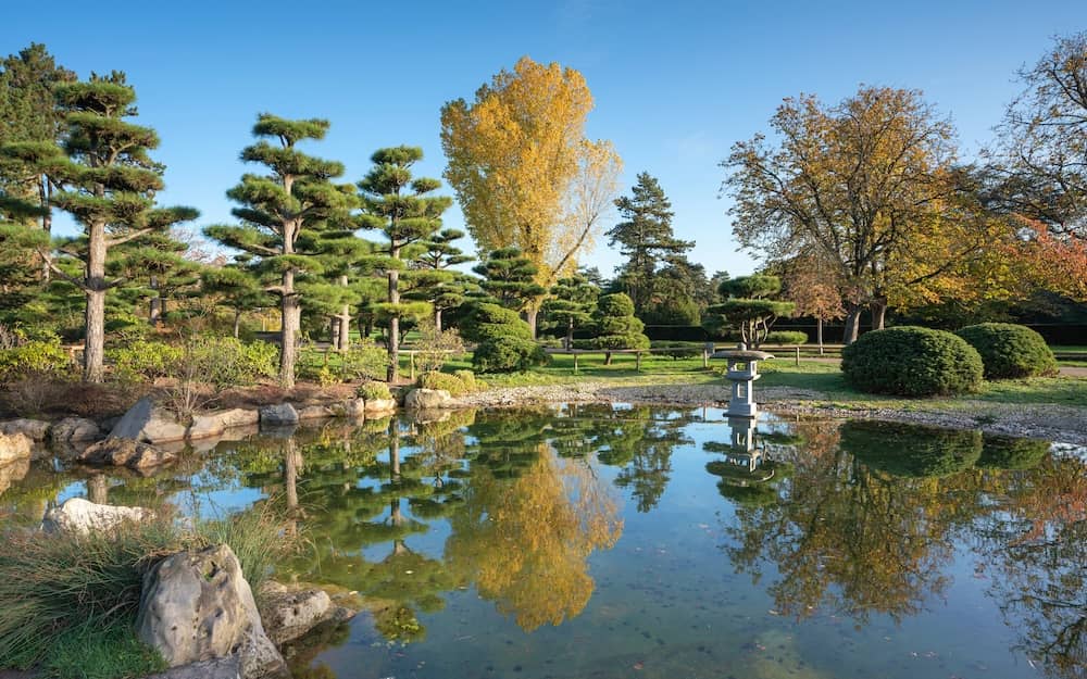 Blick in den Japanischen Garten in Düsseldorf