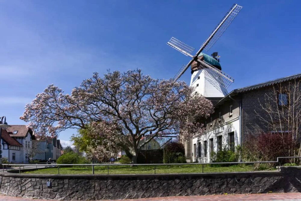 Mühle Amanda ein Ausflugsziel in Kappeln für Familien