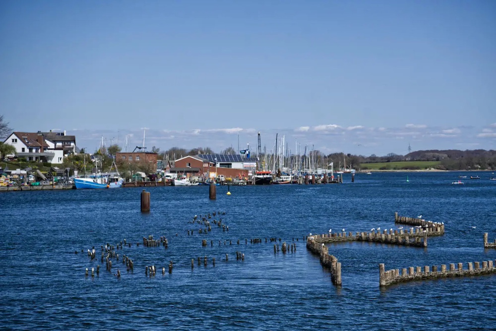 Heringszaun im Hafen von Kappeln