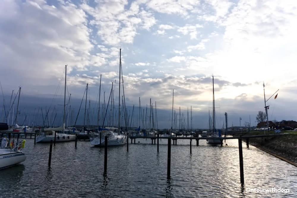 Ausflug von Kappeln zum Hafen in Maasholm