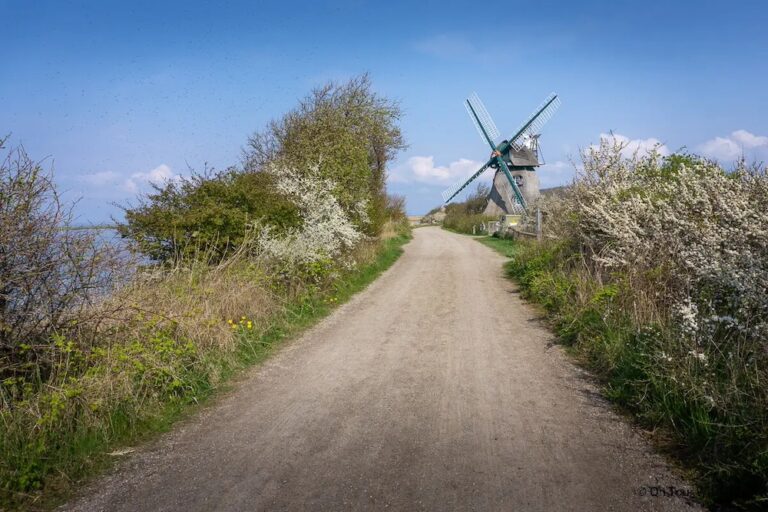 Familienausflug im Naturschutzgebiet Geltinger Birk