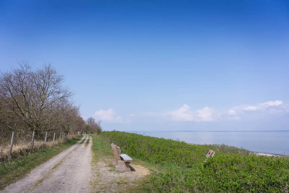 Radfahren im Geltinger Birk Naturschutzgebiet