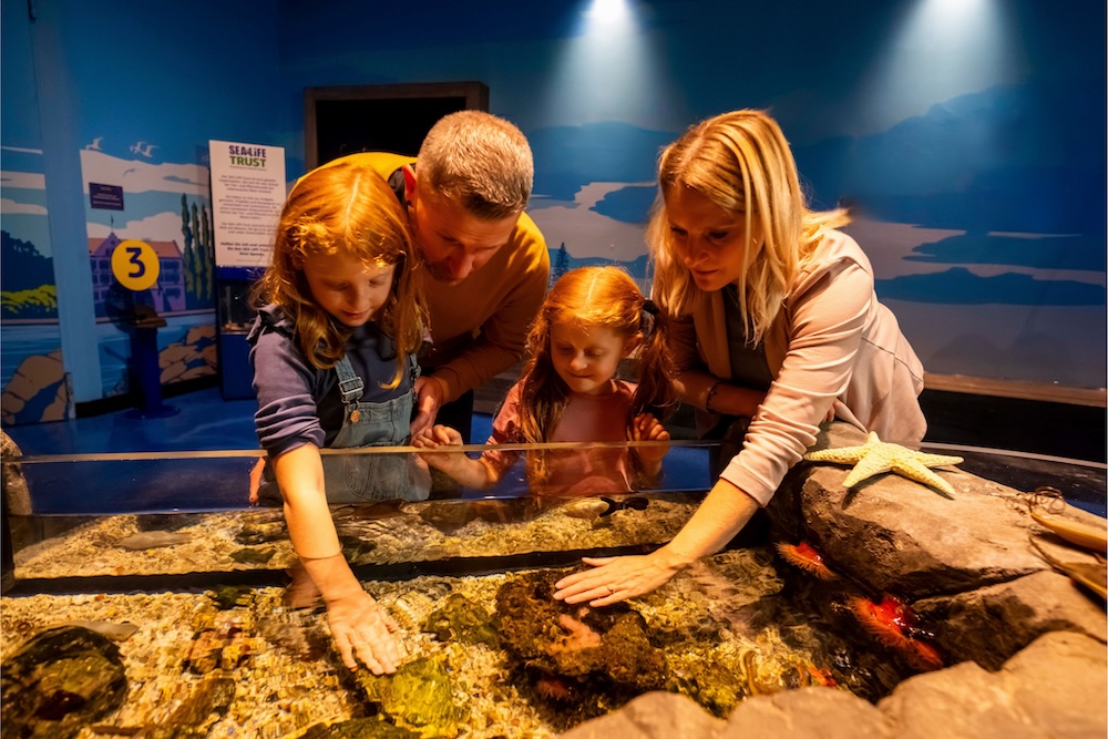 Entdeckerbecken im SEA LIFE Konstanz