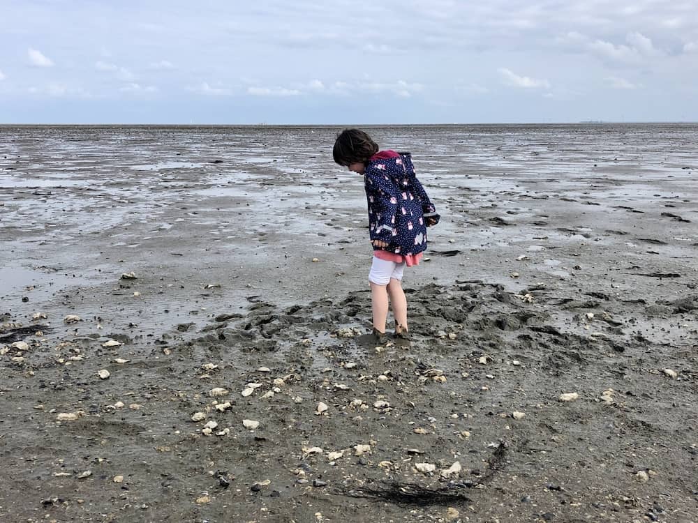 Watt mit Kindern an der Nordsee im Familienurlaub erleben