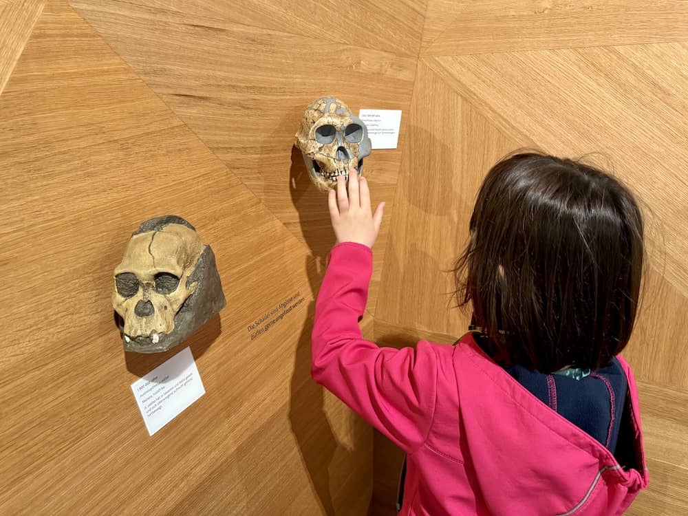 Anfassen und erkunden in Museen für Kinder