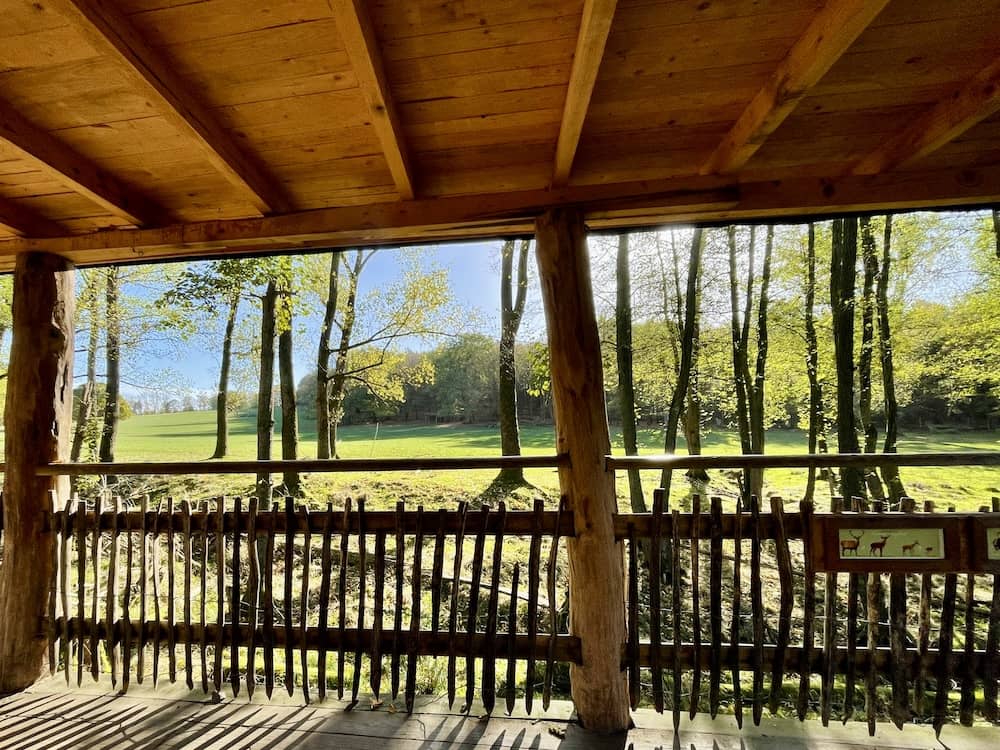 Herbstausflug mit Kindern in den Wildpark